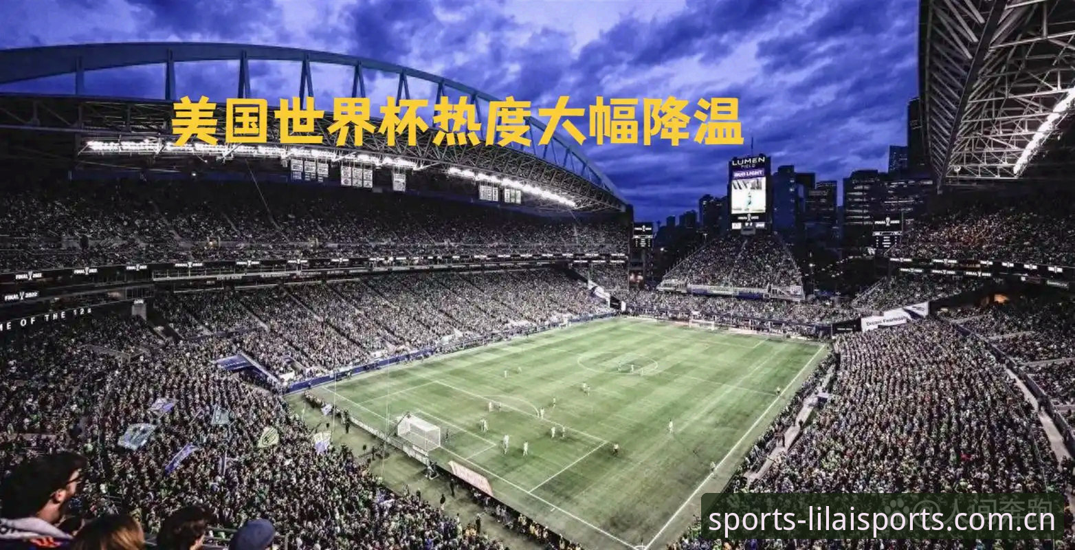 2026世界杯观赛签证问题全指南：在利来体育平台追踪赛事动态